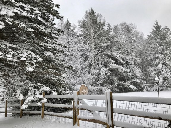 FullSizeRender.jpg-2